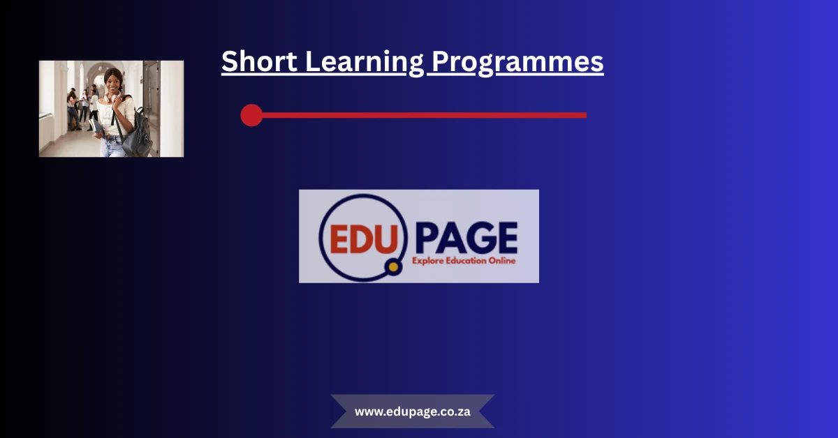 Short Learning Programmes