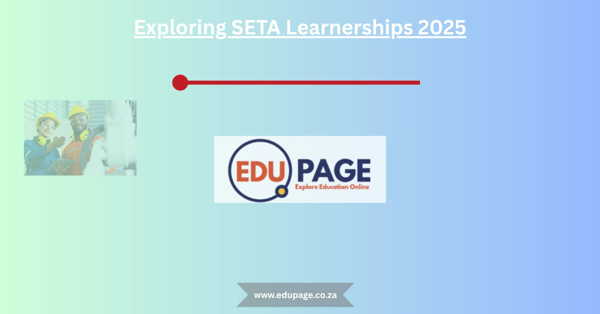Exploring SETA Learnerships 2025